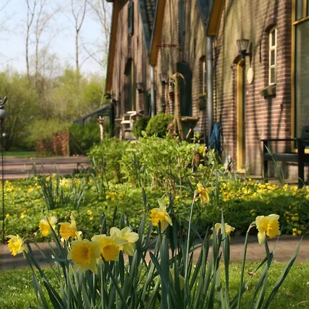 Eenink ベッド・アンド・ブレックファスト ゼルヘーム