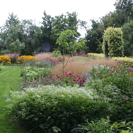 Eenink Bed & Breakfast 3*