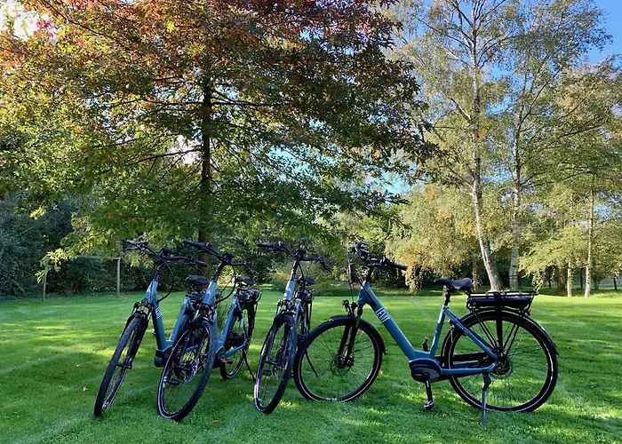 ベッド・アンド・ブレックファスト Eenink