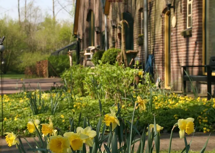 Eenink ベッド・アンド・ブレックファスト ゼルヘーム