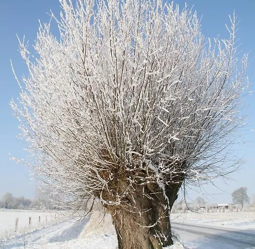 Eenink ベッド・アンド・ブレックファスト