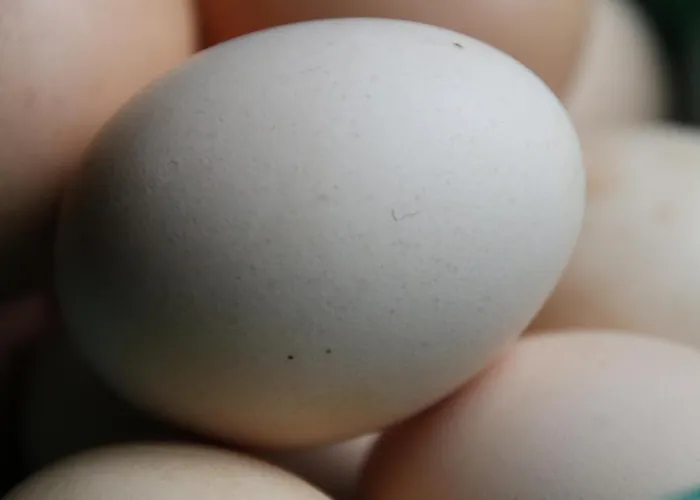 Eenink ベッド・アンド・ブレックファスト