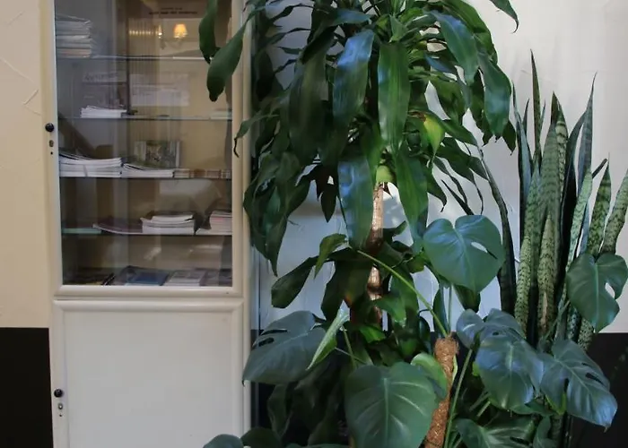 Frühstückspension Eenink 3*